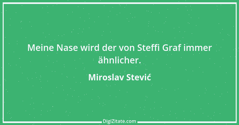 Zitat von Miroslav Stević 3