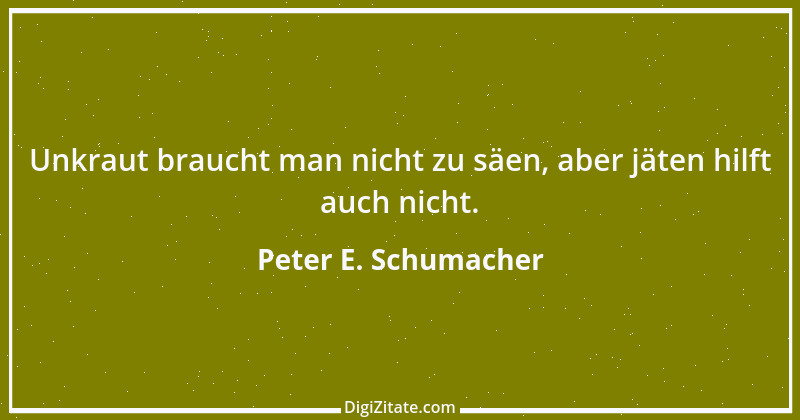 Zitat von Peter E. Schumacher 247