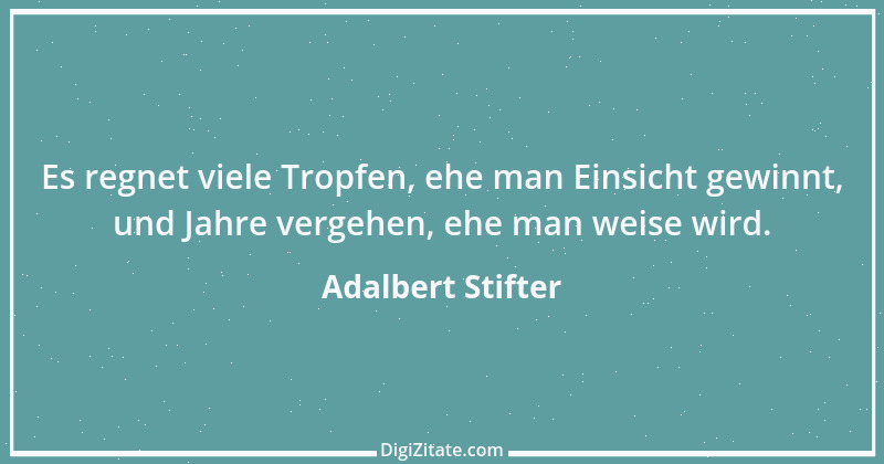 Zitat von Adalbert Stifter 17