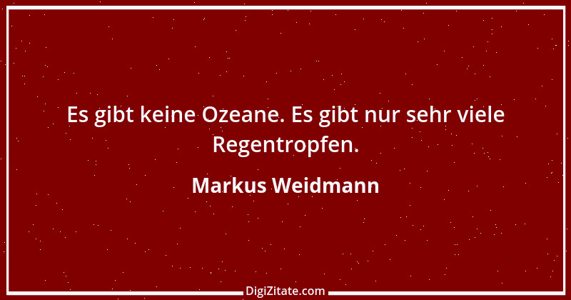 Zitat von Markus Weidmann 63