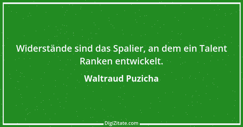 Zitat von Waltraud Puzicha 95