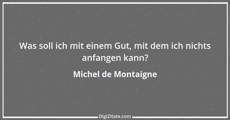 Zitat von Michel de Montaigne 134