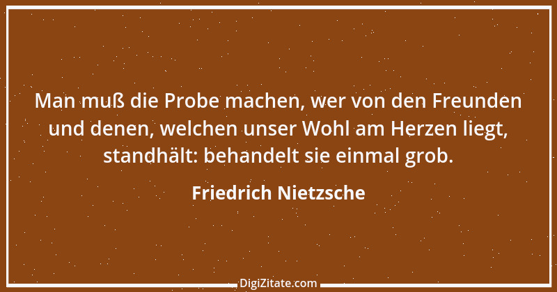 Zitat von Friedrich Nietzsche 384