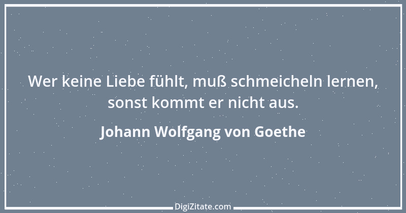 Zitat von Johann Wolfgang von Goethe 1447