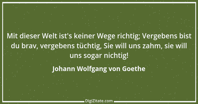 Zitat von Johann Wolfgang von Goethe 3449