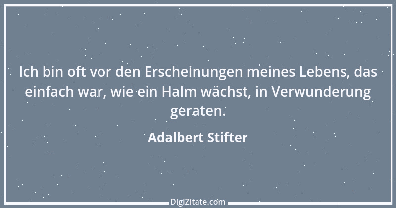 Zitat von Adalbert Stifter 26