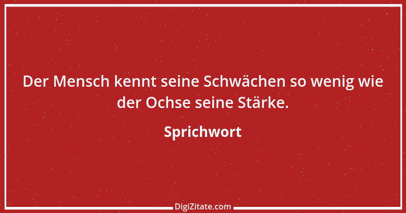 Zitat von Sprichwort 13444