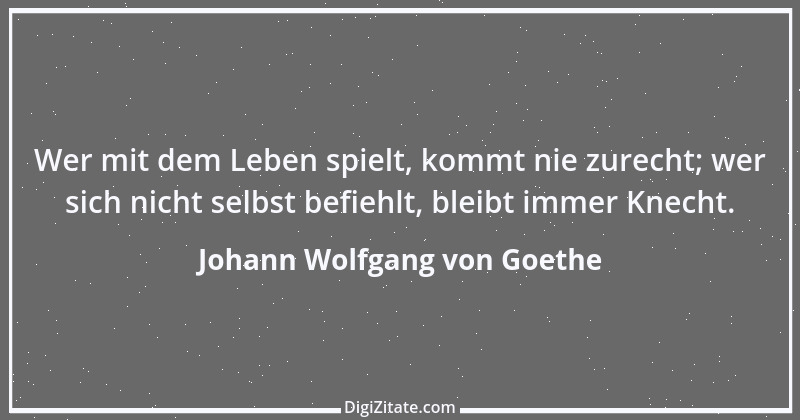 Zitat von Johann Wolfgang von Goethe 453