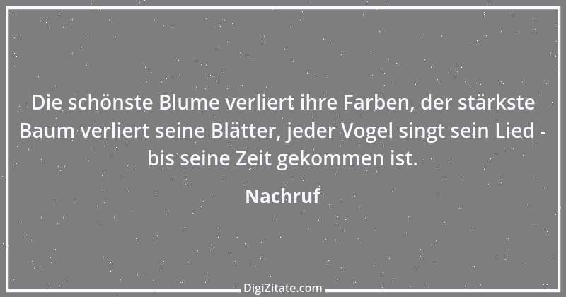 Zitat von Nachruf 49