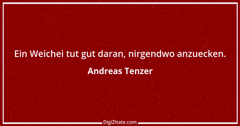 Zitat von Andreas Tenzer 142