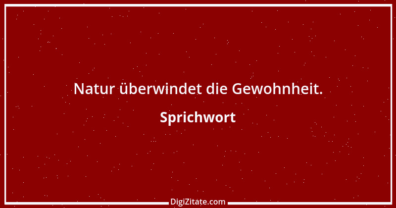 Zitat von Sprichwort 5791