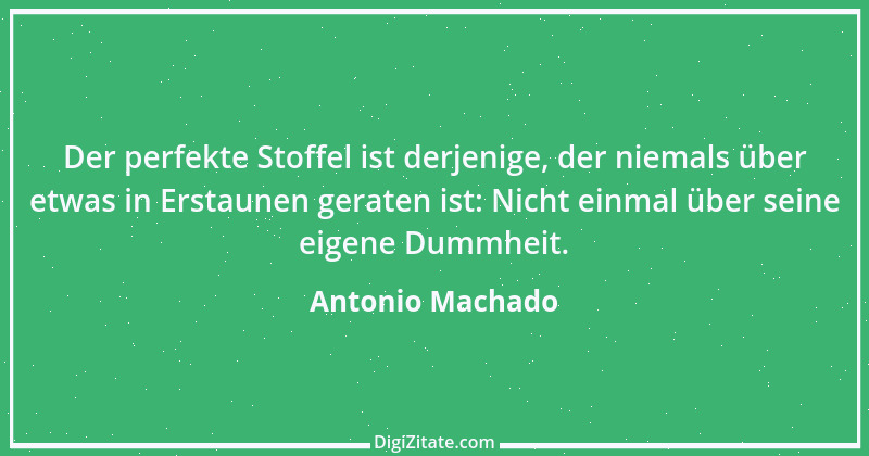 Zitat von Antonio Machado 12