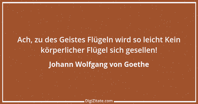 Zitat von Johann Wolfgang von Goethe 458