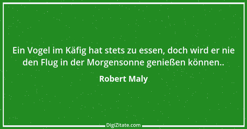 Zitat von Robert Maly 23