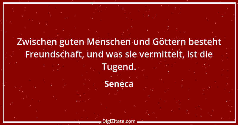 Zitat von Seneca 595