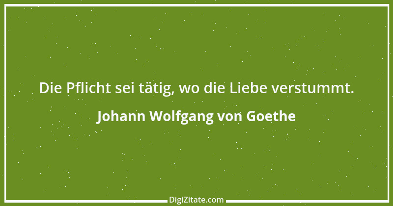 Zitat von Johann Wolfgang von Goethe 460