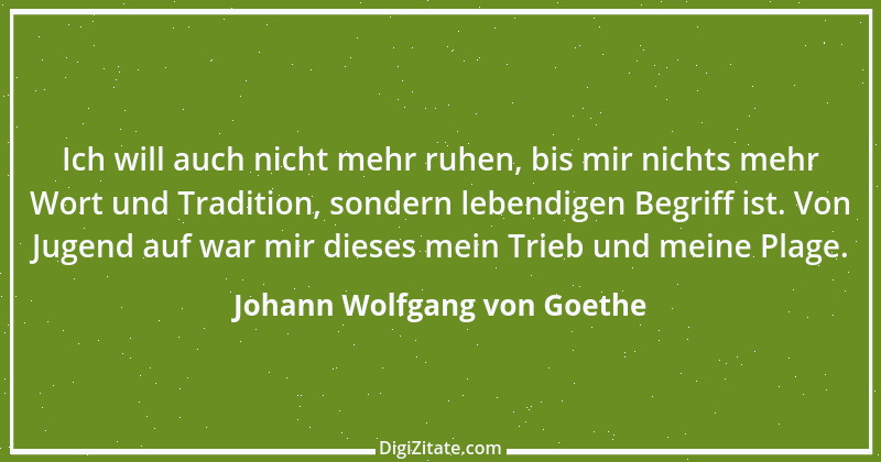 Zitat von Johann Wolfgang von Goethe 3462