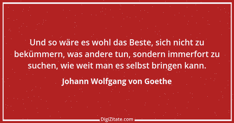 Zitat von Johann Wolfgang von Goethe 1463