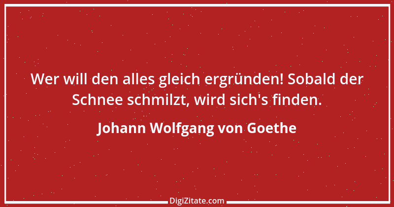 Zitat von Johann Wolfgang von Goethe 463