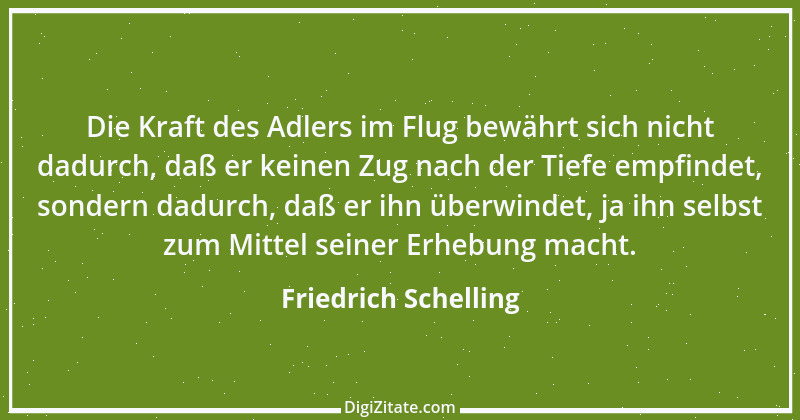 Zitat von Friedrich Schelling 28