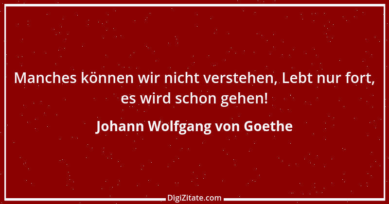 Zitat von Johann Wolfgang von Goethe 2464