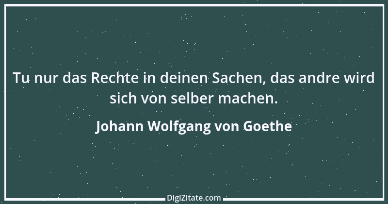 Zitat von Johann Wolfgang von Goethe 465