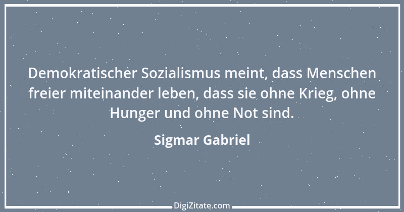 Zitat von Sigmar Gabriel 6