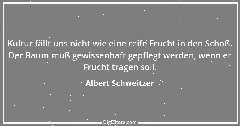 Zitat von Albert Schweitzer 178