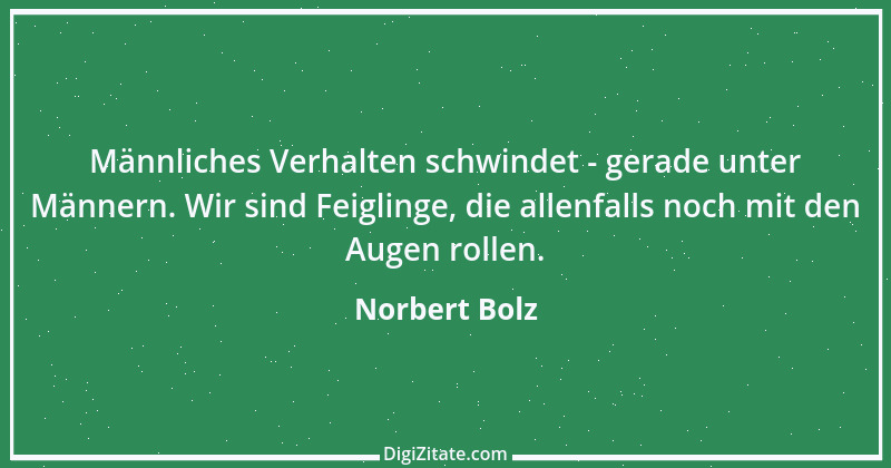 Zitat von Norbert Bolz 6