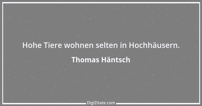 Zitat von Thomas Häntsch 43