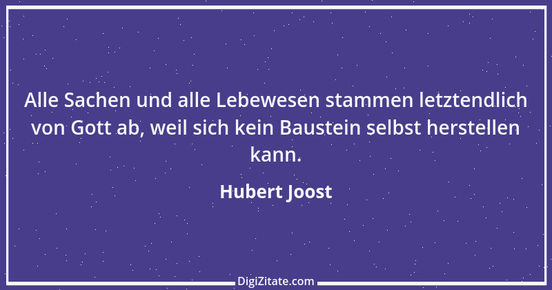 Zitat von Hubert Joost 23