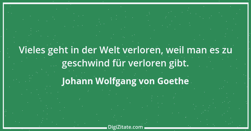 Zitat von Johann Wolfgang von Goethe 469