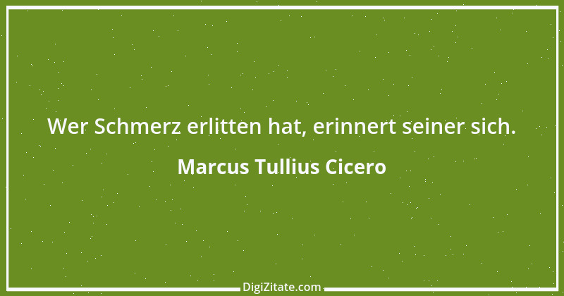 Zitat von Marcus Tullius Cicero 393