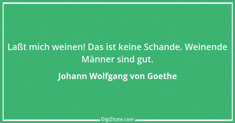 Zitat von Johann Wolfgang von Goethe 470