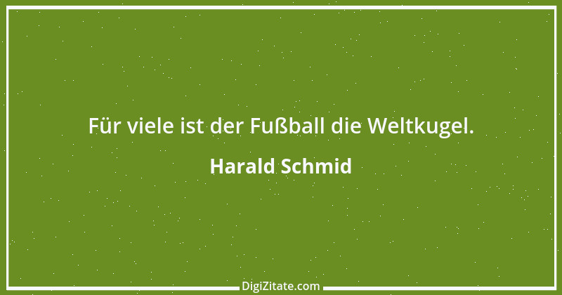 Zitat von Harald Schmid 61