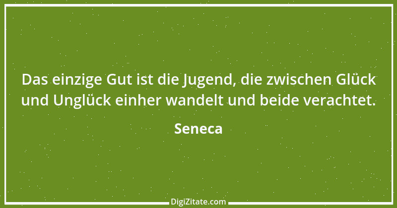 Zitat von Seneca 608