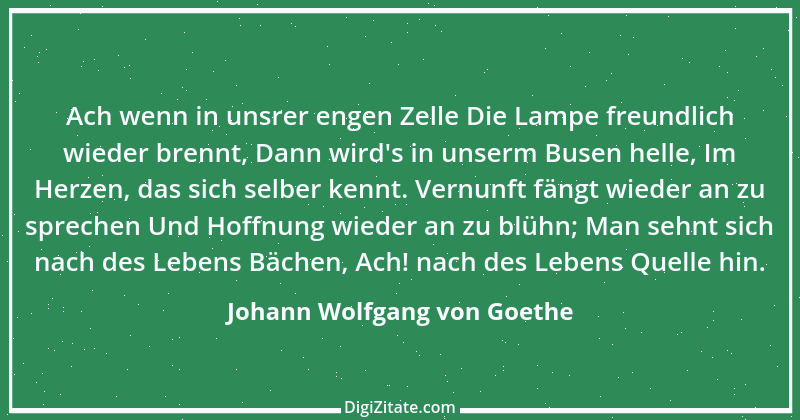 Zitat von Johann Wolfgang von Goethe 474