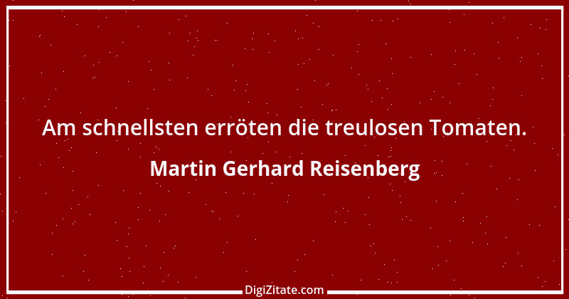 Zitat von Martin Gerhard Reisenberg 789