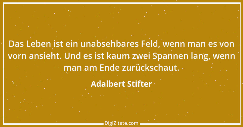 Zitat von Adalbert Stifter 49