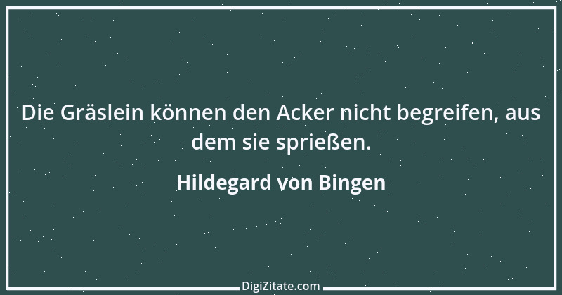 Zitat von Hildegard von Bingen 111