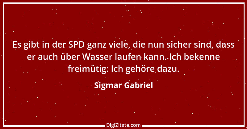 Zitat von Sigmar Gabriel 15