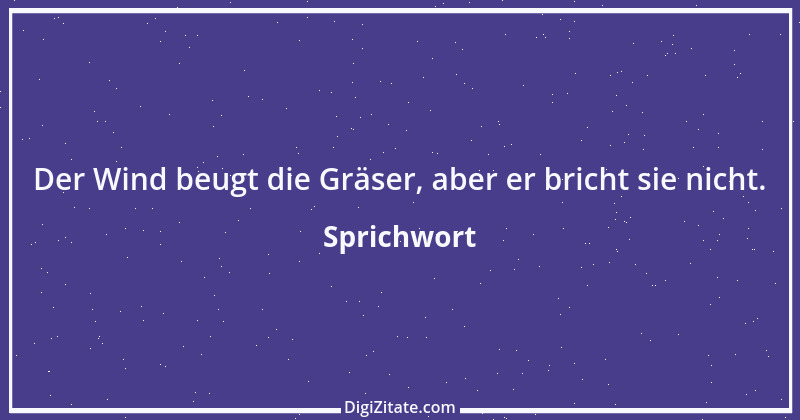 Zitat von Sprichwort 3467