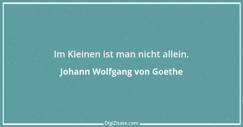 Zitat von Johann Wolfgang von Goethe 476