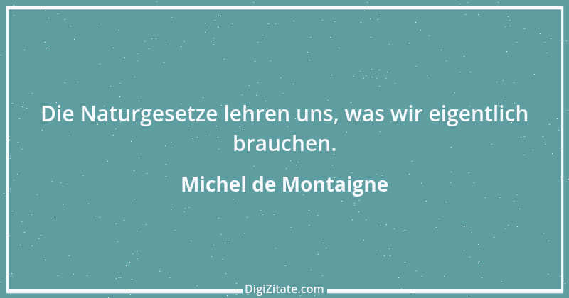 Zitat von Michel de Montaigne 164