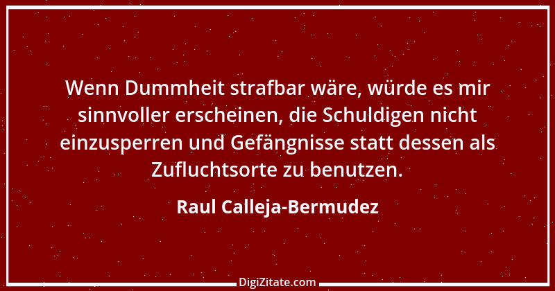 Zitat von Raul Calleja-Bermudez 1