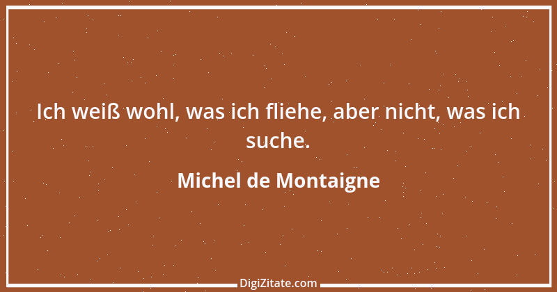 Zitat von Michel de Montaigne 165