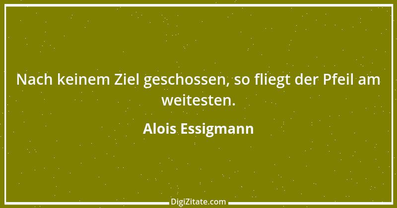 Zitat von Alois Essigmann 91