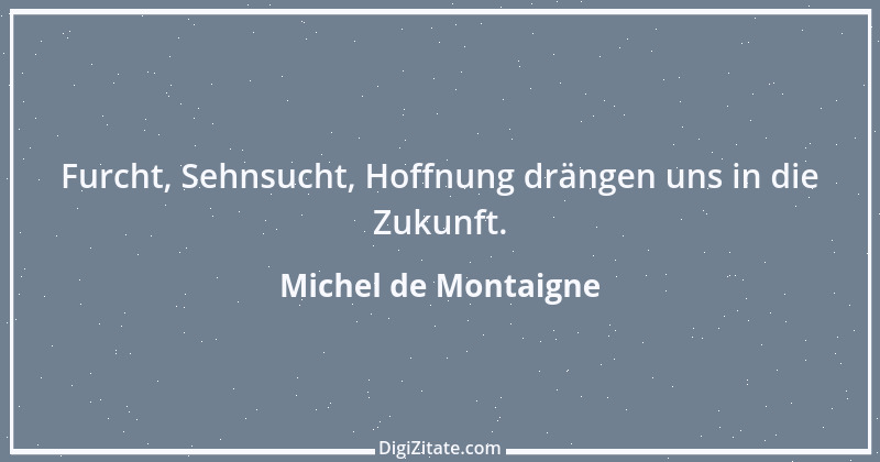 Zitat von Michel de Montaigne 166