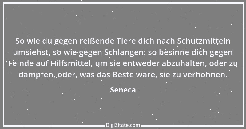 Zitat von Seneca 614