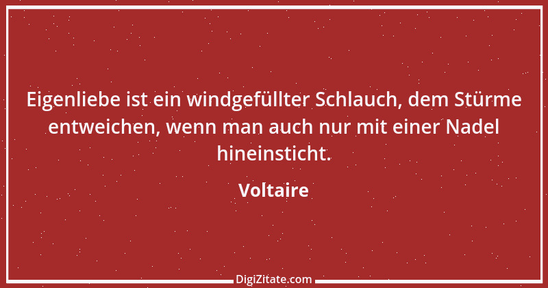 Zitat von Voltaire 123